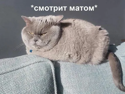 мемы супер