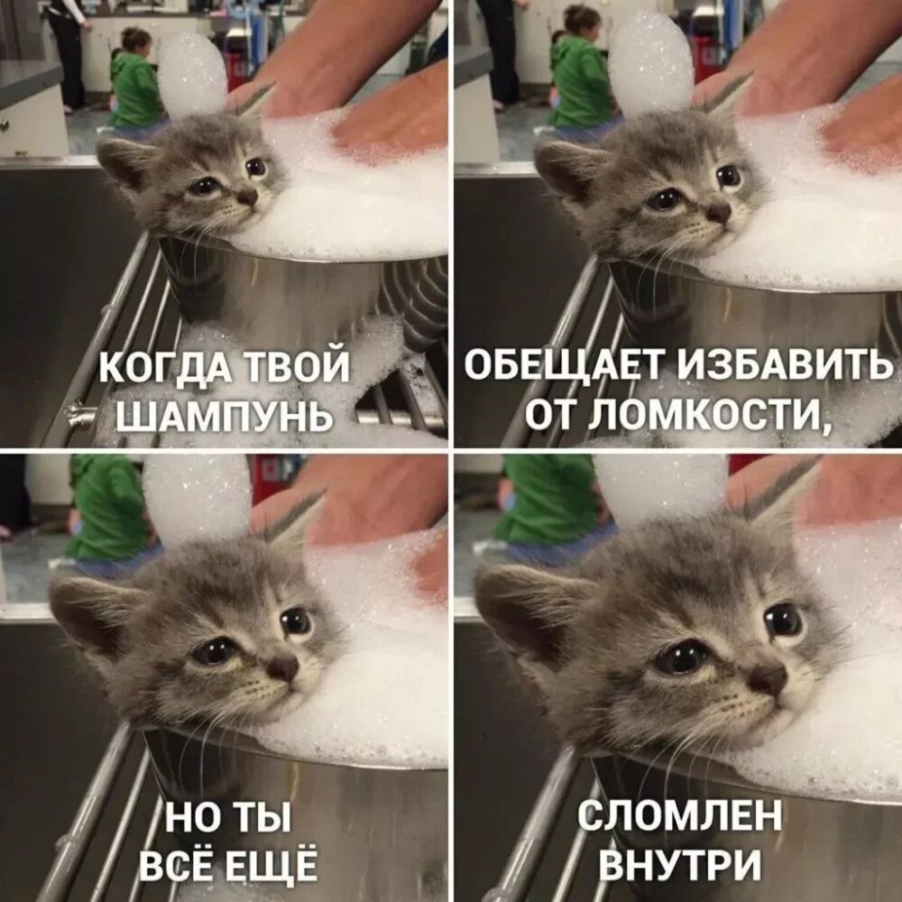 реальность шутит