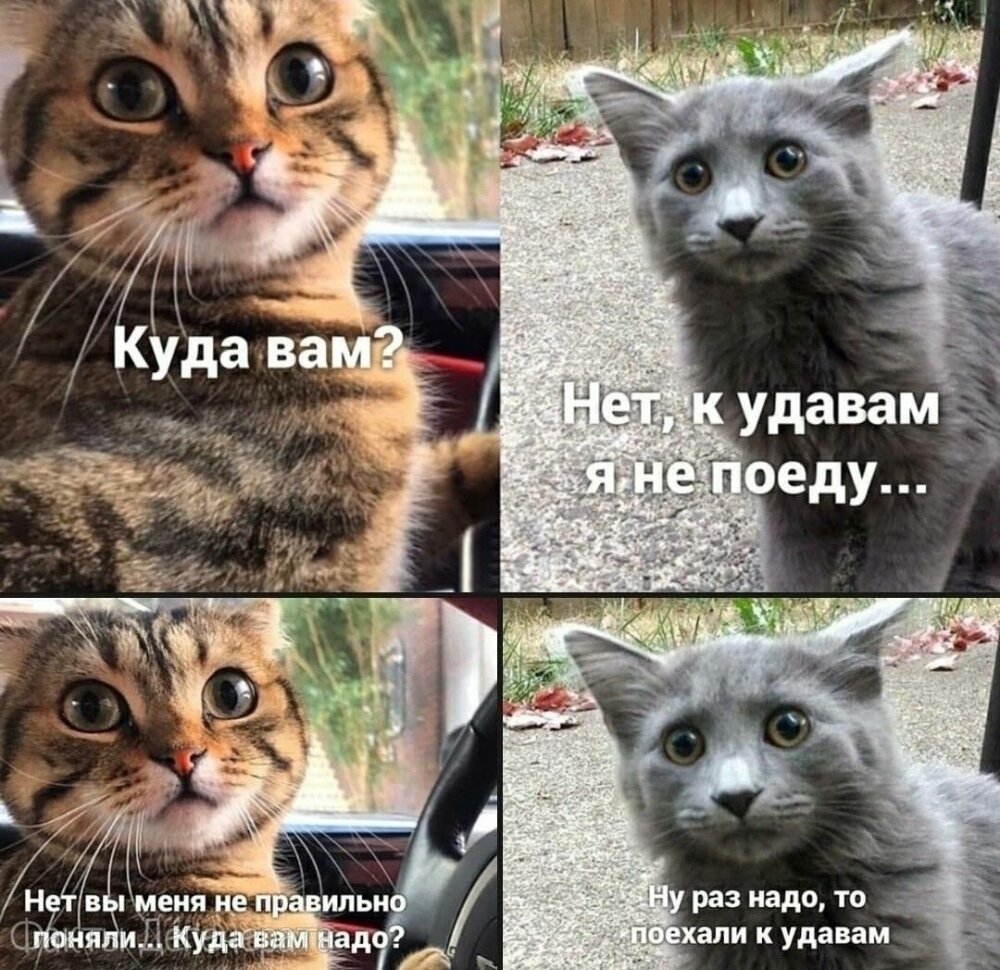 реальность шутит