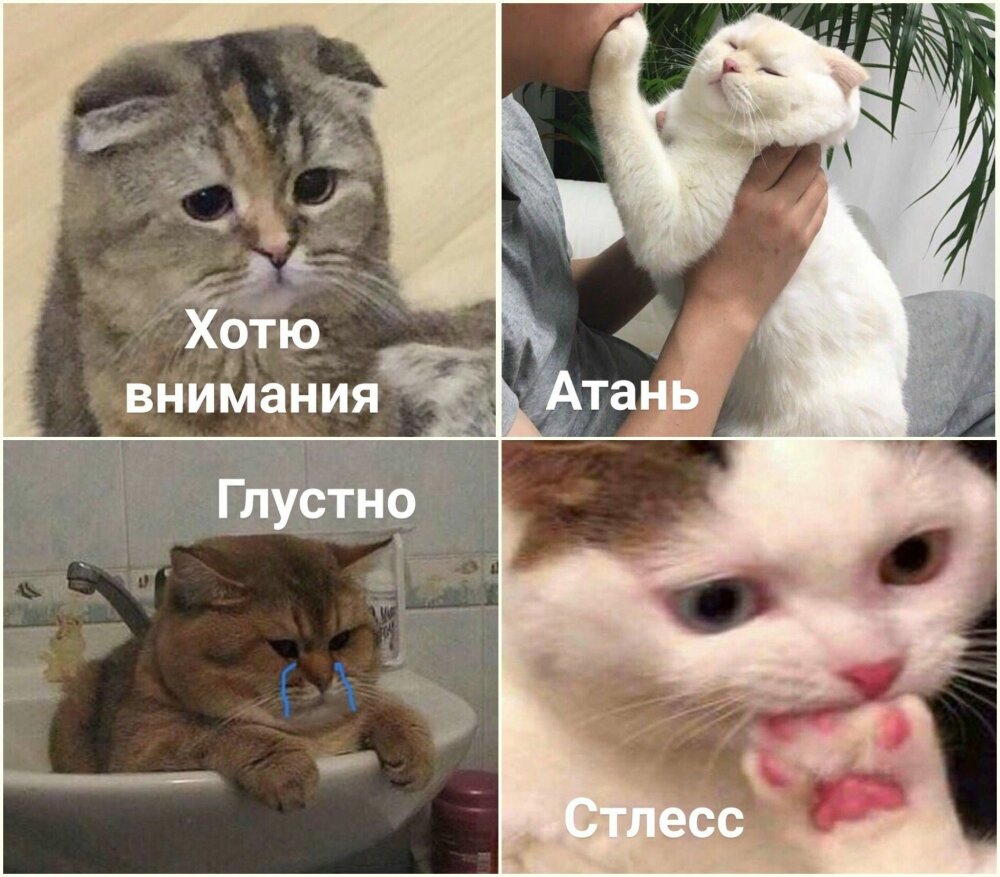 реальность шутит