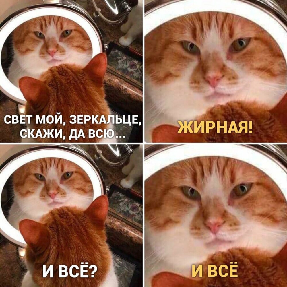 реальность шутит