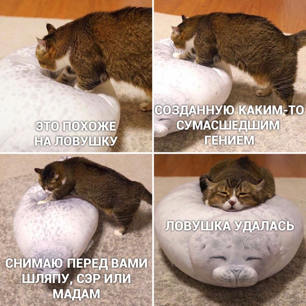 реальность шутит