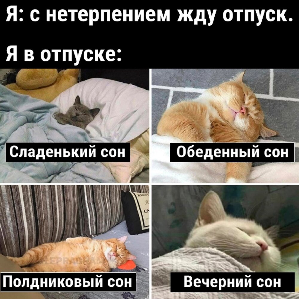 реальность шутит